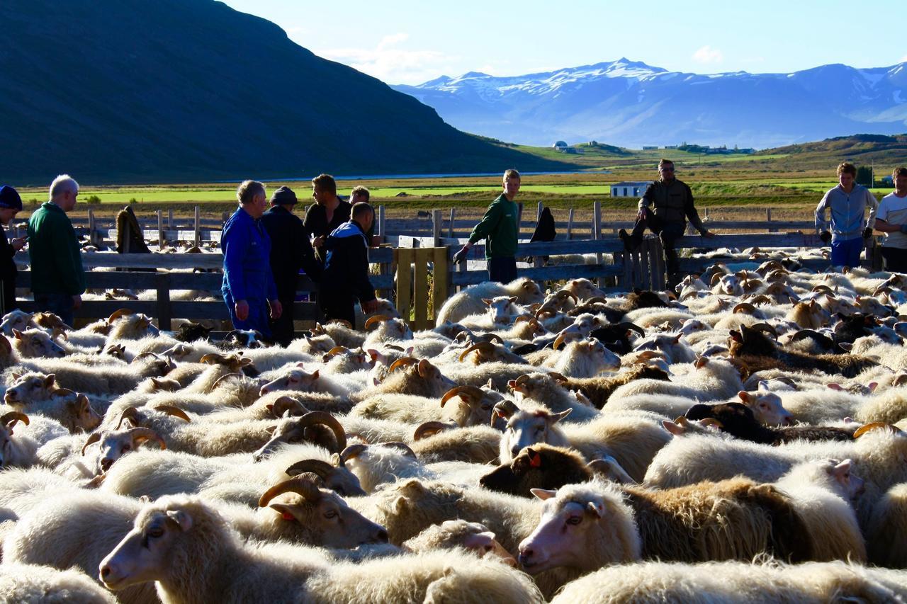 Vellir Grenivik Home With A View ภายนอก รูปภาพ